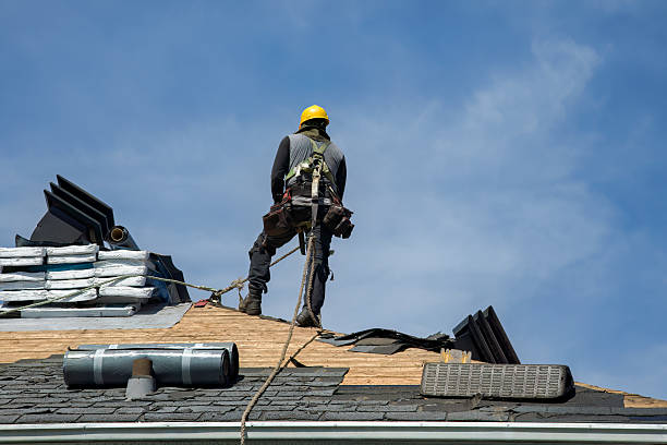Professional Roofing technician working in Campbell, MN